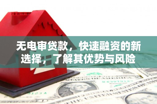 拉萨无电审贷款，快速融资的新选择，了解其优势与风险