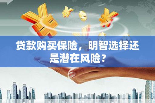 拉萨贷款购买保险，明智选择还是潜在风险？