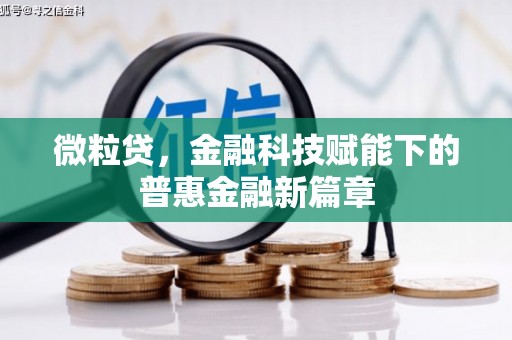 拉萨微粒贷，金融科技赋能下的普惠金融新篇章