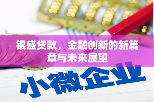 拉萨银盛贷款，金融创新的新篇章与未来展望