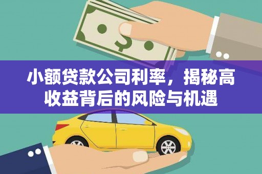 拉萨小额贷款公司利率，揭秘高收益背后的风险与机遇
