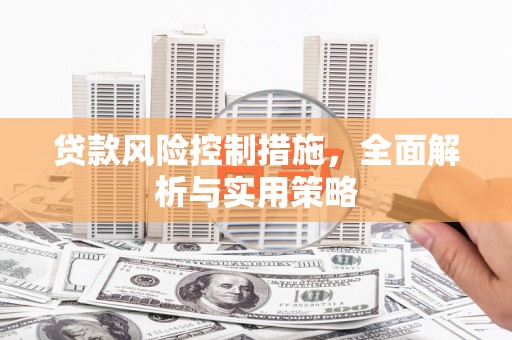 拉萨贷款风险控制措施，全面解析与实用策略