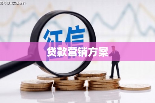 拉萨贷款营销方案