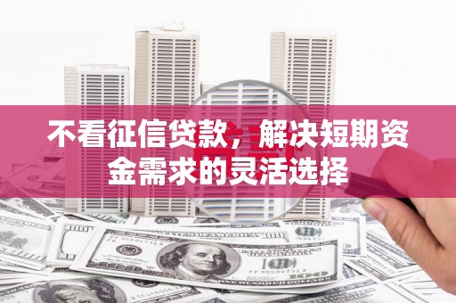 拉萨不看征信贷款，解决短期资金需求的灵活选择