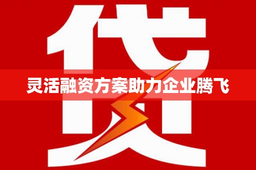 拉萨灵活融资方案助力企业腾飞