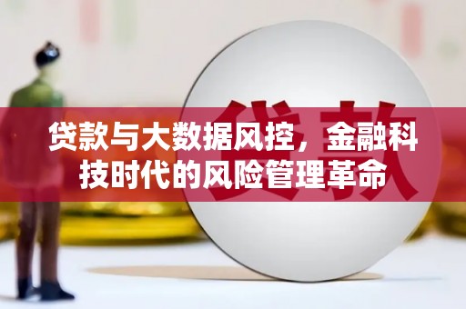 拉萨贷款与大数据风控，金融科技时代的风险管理革命