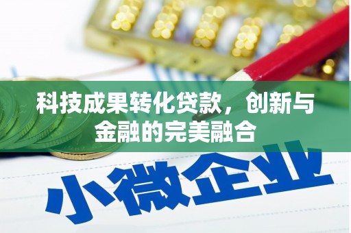 拉萨科技成果转化贷款，创新与金融的完美融合