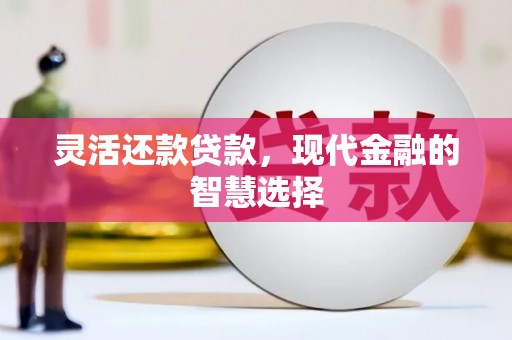 拉萨灵活还款贷款，现代金融的智慧选择