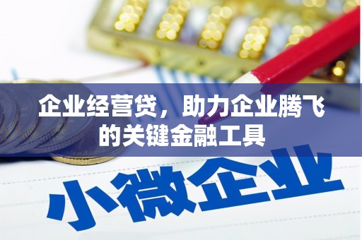 拉萨企业经营贷，助力企业腾飞的关键金融工具