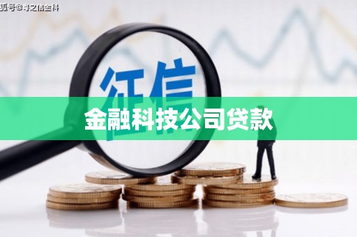 拉萨金融科技公司贷款