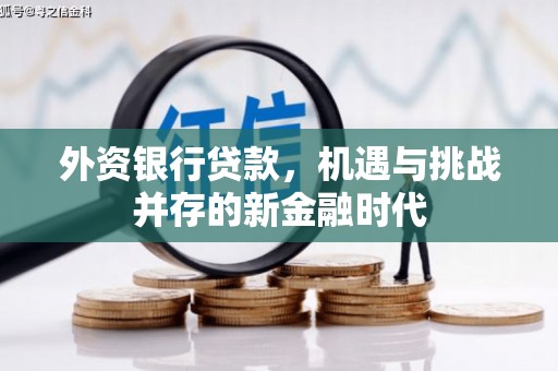 拉萨外资银行贷款，机遇与挑战并存的新金融时代