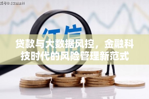 拉萨贷款与大数据风控，金融科技时代的风险管理新范式