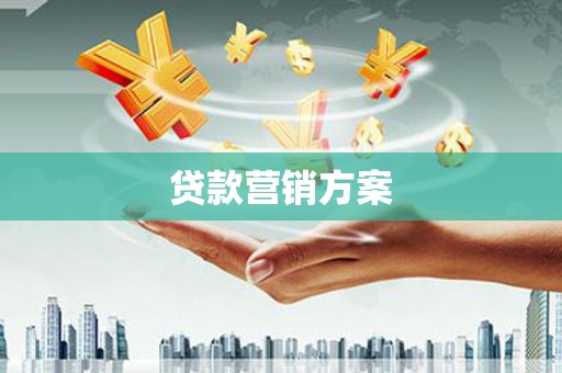拉萨贷款营销方案