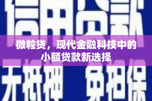 拉萨微粒贷，现代金融科技中的小额贷款新选择