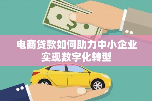 拉萨电商贷款如何助力中小企业实现数字化转型