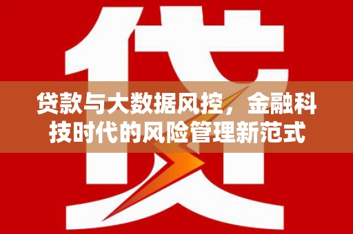 拉萨贷款与大数据风控，金融科技时代的风险管理新范式