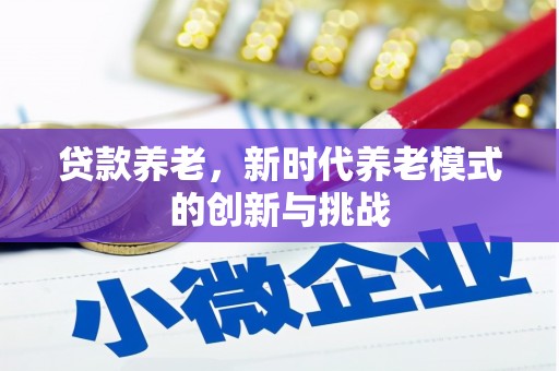 拉萨贷款养老，新时代养老模式的创新与挑战