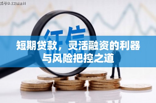 拉萨短期贷款，灵活融资的利器与风险把控之道