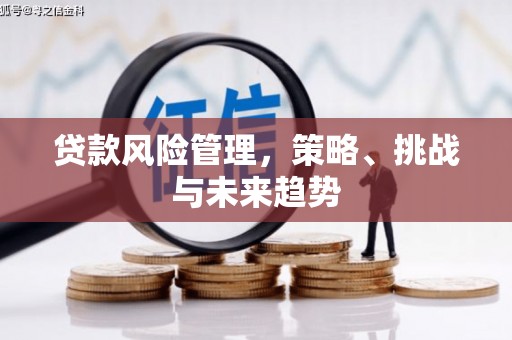 拉萨贷款风险管理，策略、挑战与未来趋势