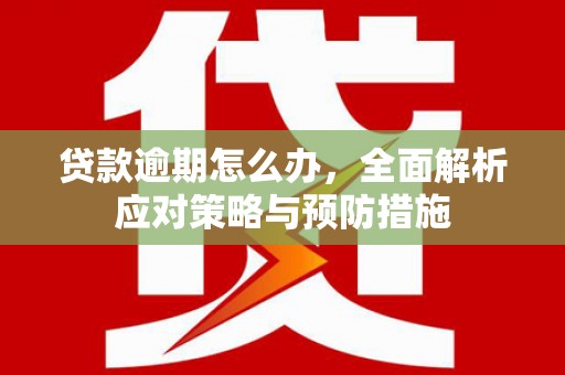 拉萨贷款逾期怎么办，全面解析应对策略与预防措施