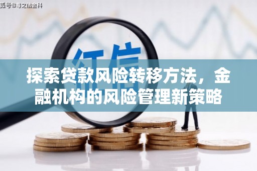 拉萨探索贷款风险转移方法，金融机构的风险管理新策略