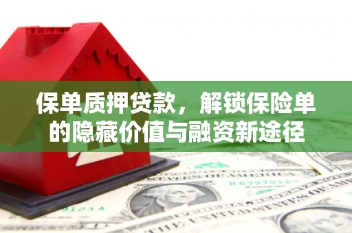 拉萨保单质押贷款，解锁保险单的隐藏价值与融资新途径