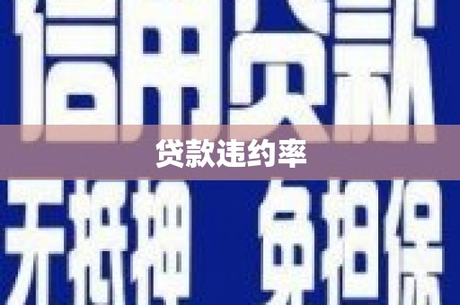 拉萨贷款违约率