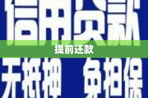 拉萨提前还款