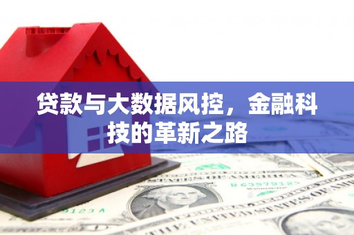 拉萨贷款与大数据风控，金融科技的革新之路