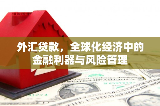拉萨外汇贷款，全球化经济中的金融利器与风险管理