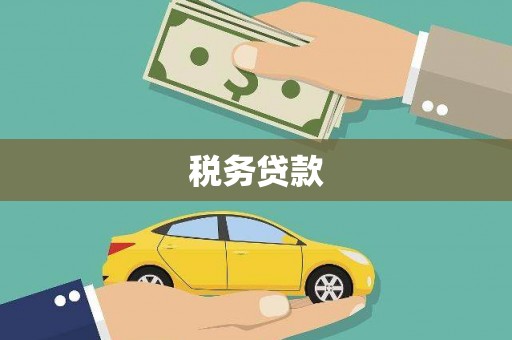 拉萨税务贷款