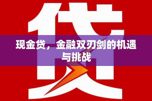 拉萨现金贷，金融双刃剑的机遇与挑战