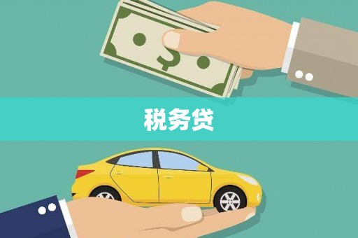 拉萨税务贷