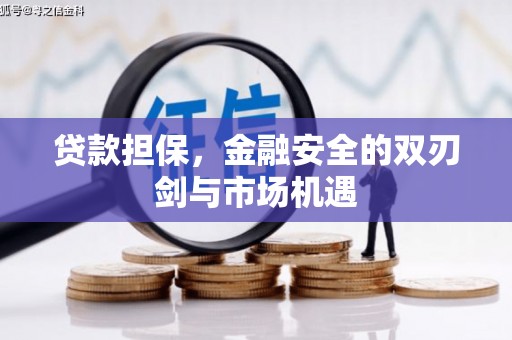 拉萨贷款担保，金融安全的双刃剑与市场机遇