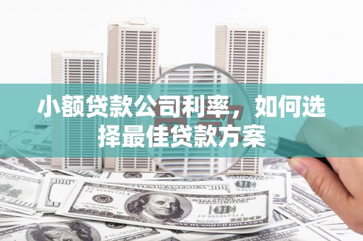 拉萨小额贷款公司利率，如何选择最佳贷款方案