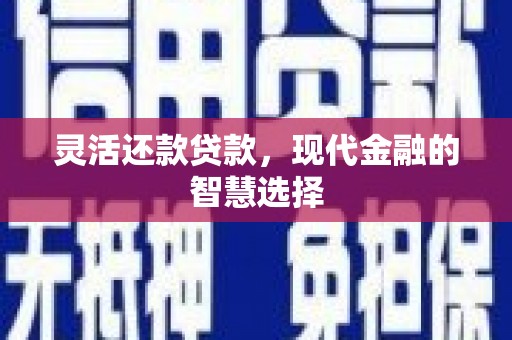 拉萨灵活还款贷款，现代金融的智慧选择