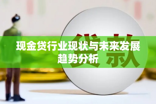 拉萨现金贷行业现状与未来发展趋势分析
