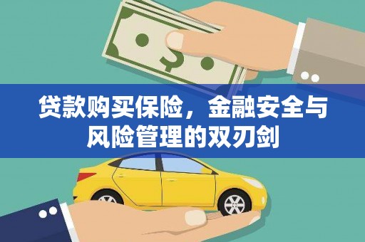拉萨贷款购买保险，金融安全与风险管理的双刃剑
