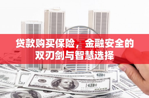拉萨贷款购买保险，金融安全的双刃剑与智慧选择