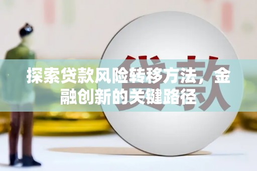 拉萨探索贷款风险转移方法，金融创新的关键路径