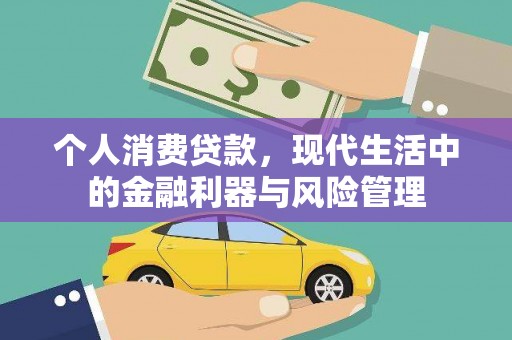 拉萨个人消费贷款，现代生活中的金融利器与风险管理