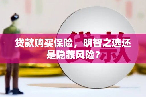 拉萨贷款购买保险，明智之选还是隐藏风险？
