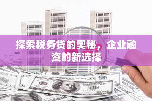 拉萨探索税务贷的奥秘，企业融资的新选择