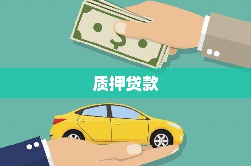 拉萨质押贷款