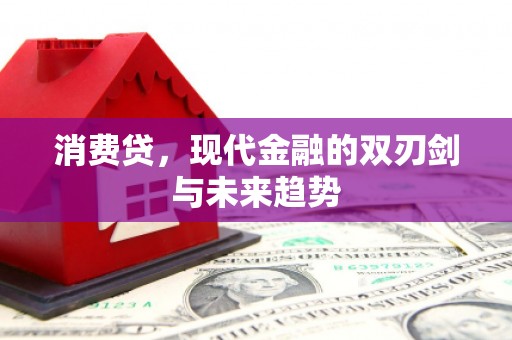 拉萨消费贷，现代金融的双刃剑与未来趋势