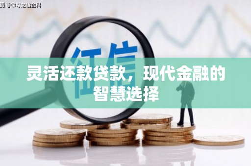 拉萨灵活还款贷款，现代金融的智慧选择