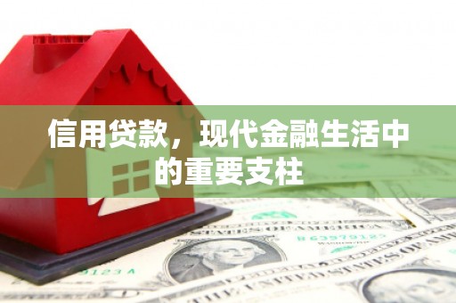 拉萨信用贷款，现代金融生活中的重要支柱
