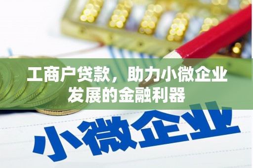 拉萨工商户贷款，助力小微企业发展的金融利器