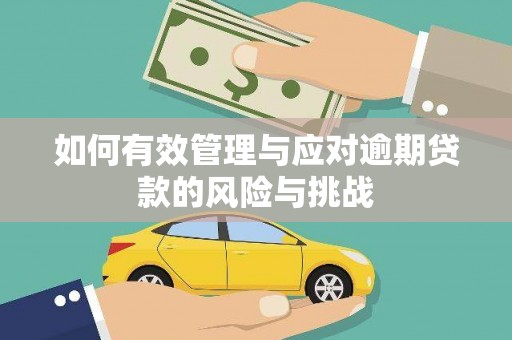 拉萨如何有效管理与应对逾期贷款的风险与挑战