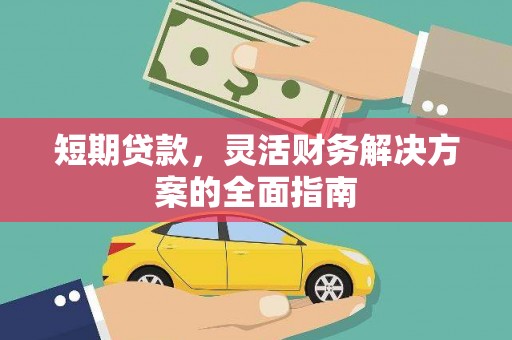 拉萨短期贷款，灵活财务解决方案的全面指南